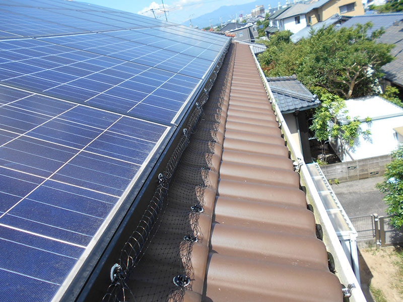ソーラーパネルと屋根の隙間への侵入をバードネットで防止します。